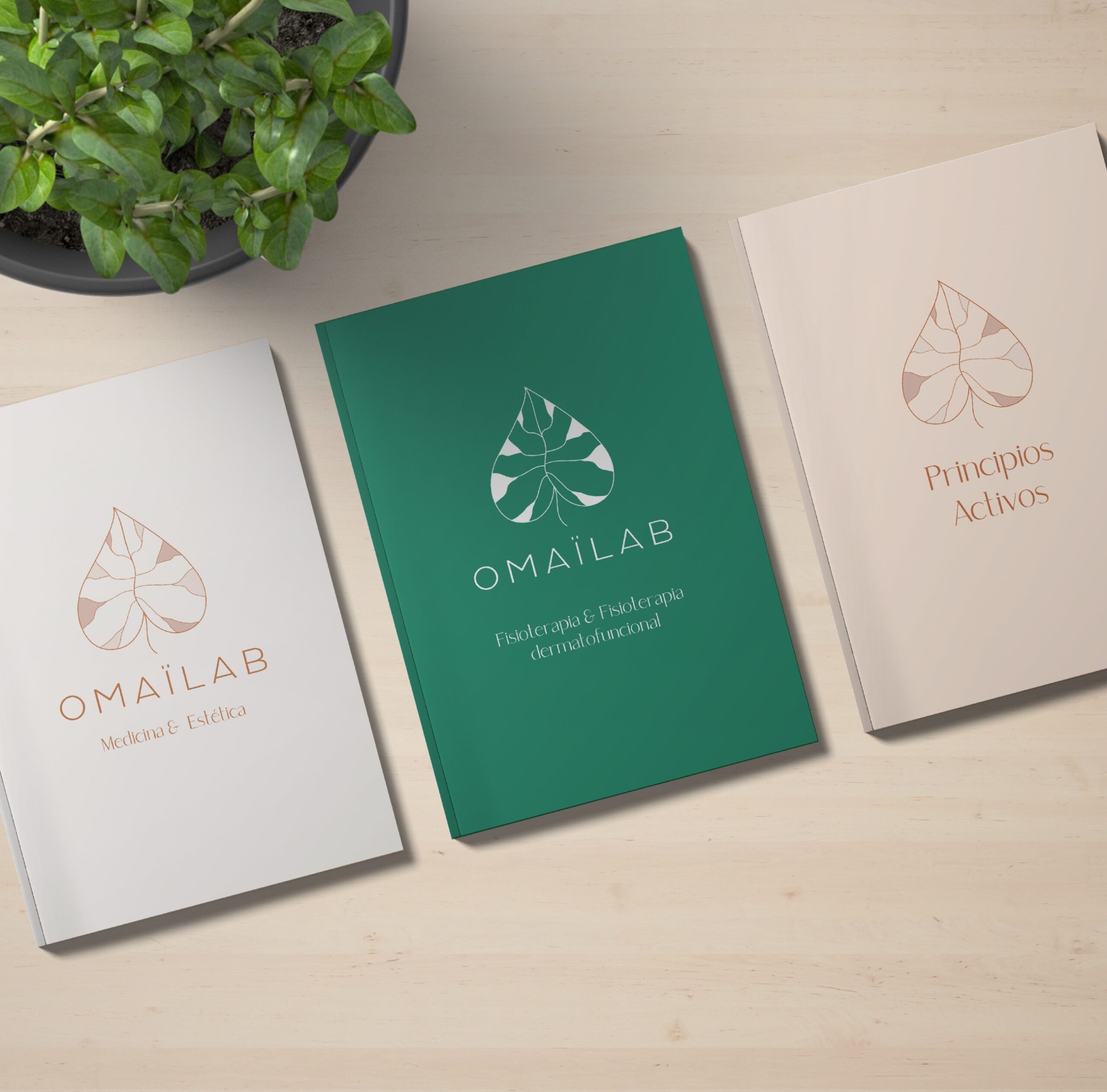 Diseño catálogos cosmética Serdivergente Omailab